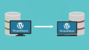 WordPress Hosting Taşıma Hizmeti